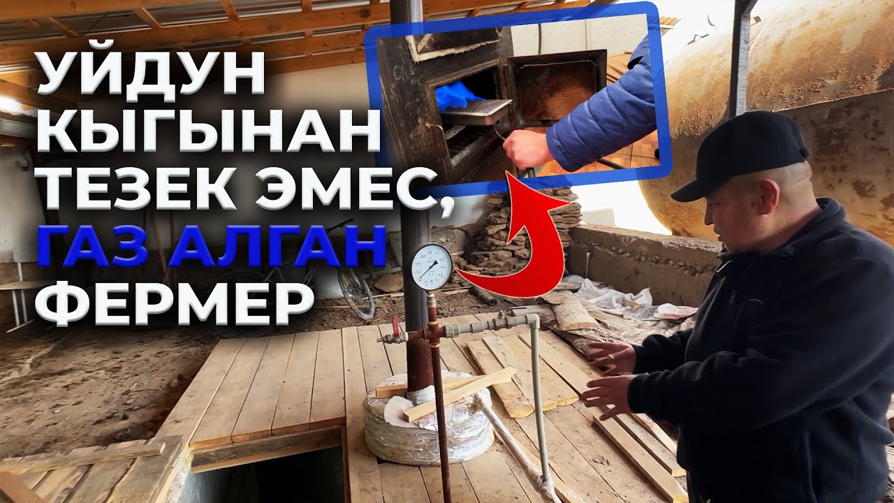 Тиричиликти жеңилдетет, ыштан дагы арылтат, мыкты жер семирткич! Уй кыгынан биогаз