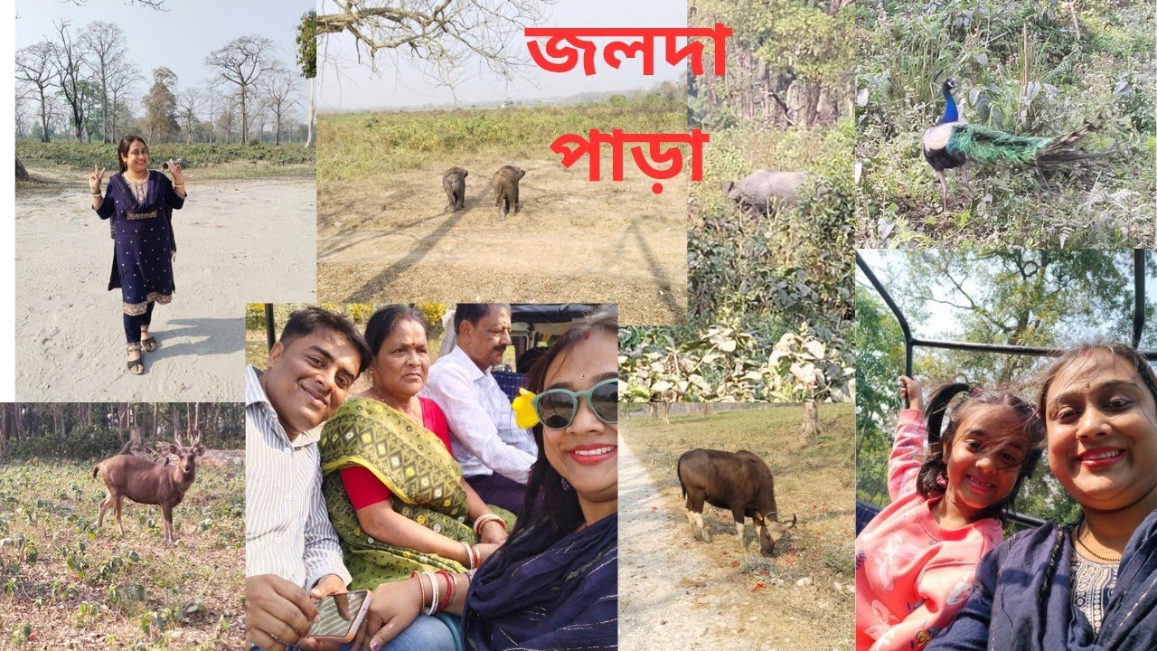 জলদা পাড়া,,,,#rumparaishorts #joldapara#vlog 