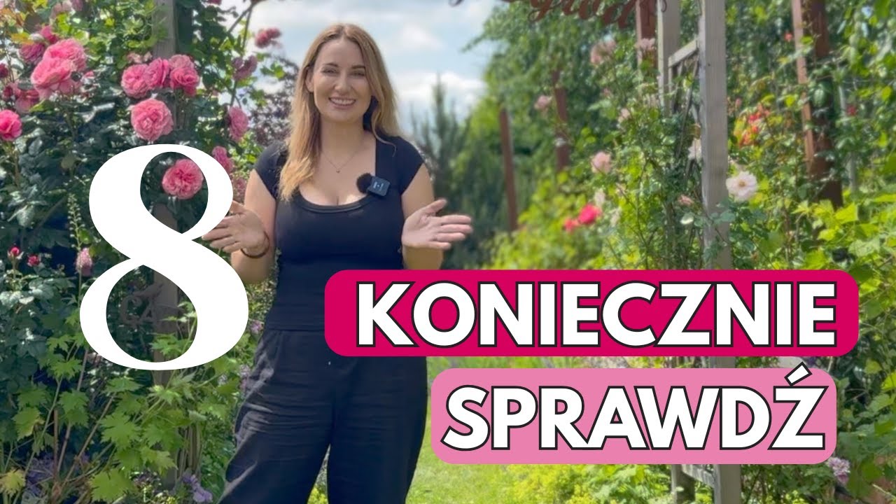 8 TOP ROŚLIN PEWNIAKÓW - TRAWY, BYLINY, PNĄCZA
