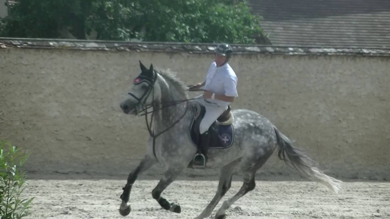 Jean Marc Nicolas et Carthagi z Gp 130 Rouvres