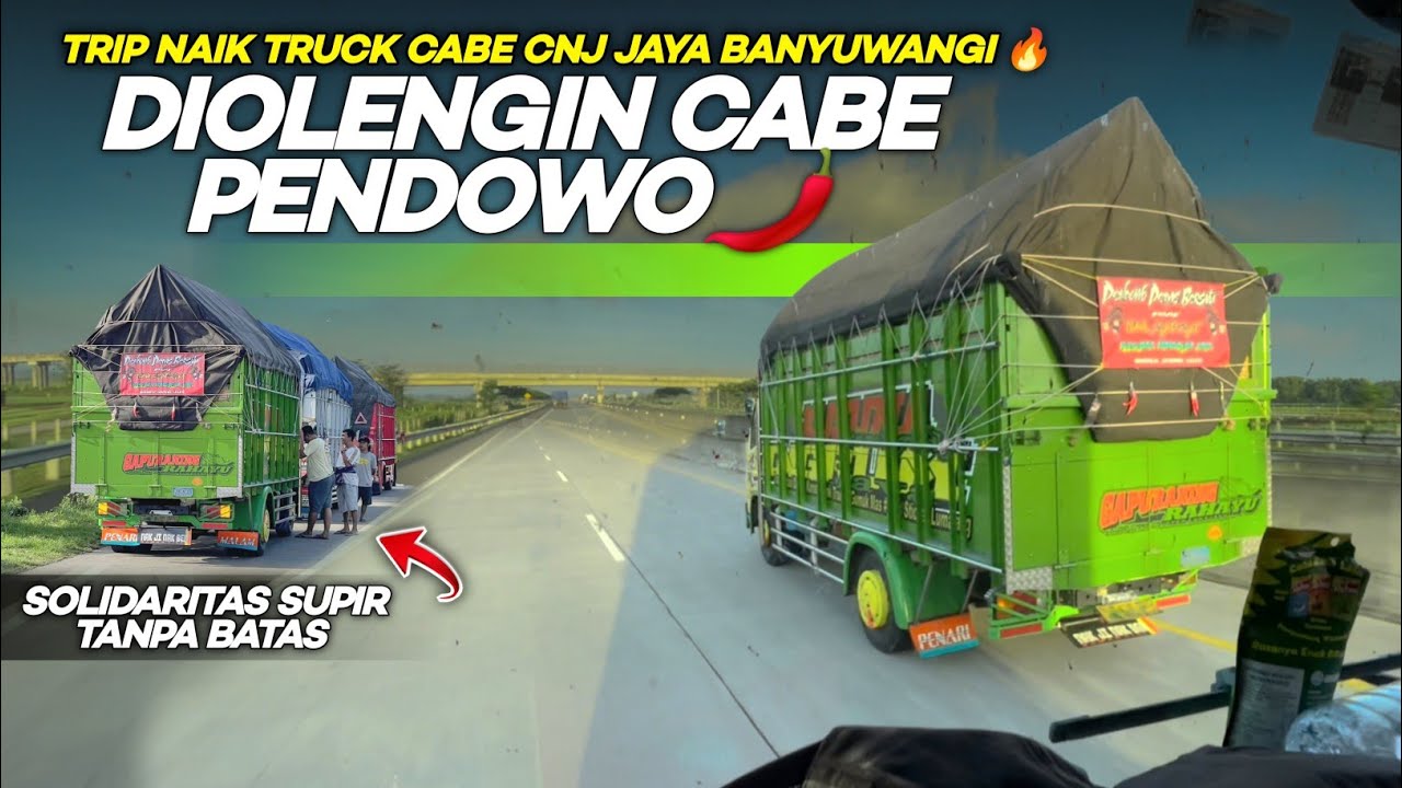 Seru sekali‼️Cabe CNJ 0L33nk bareng cabee Pendowo pedas Banyuwangi 😍 (Part 2)