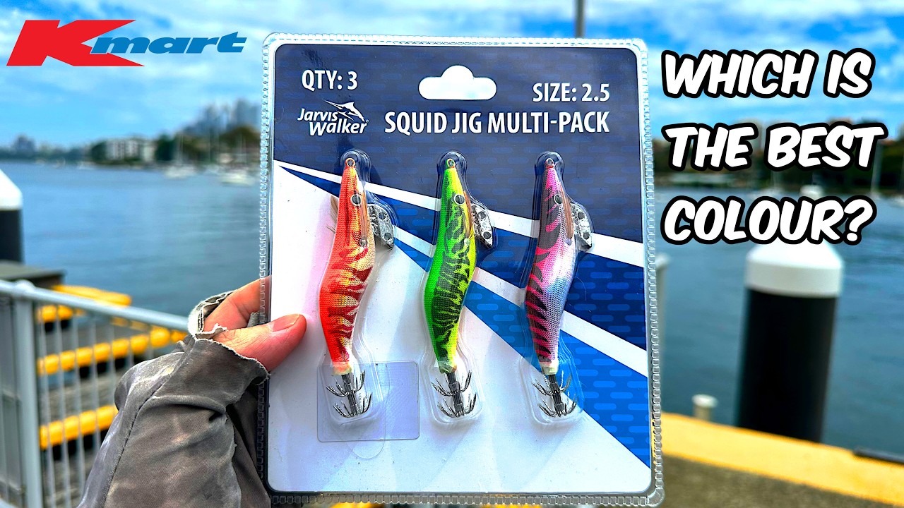 Do budget squid jigs catch squid? ($10 Kmart Fishing Challenge!)