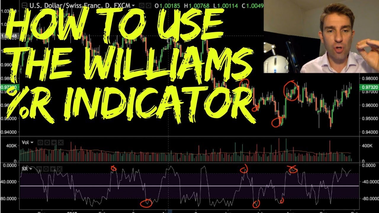 How to Use the Williams %R Indicator 📈