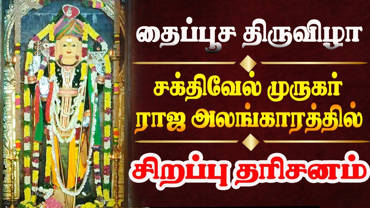 🔴Live: தைப்பூச திருவிழா  ராஜ அலங்காரத்தில் சக்திவேல் முருகர் தரிசனம்