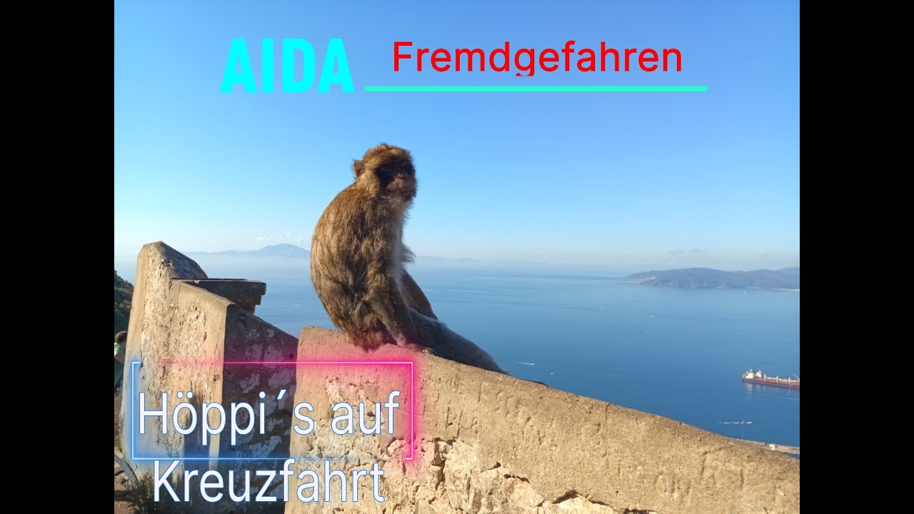 🚐 Wohnmobil vs. Kreuzfahrt – Unser Realitätscheck auf der AIDA Cosma. #aidacosma #wohnmobil