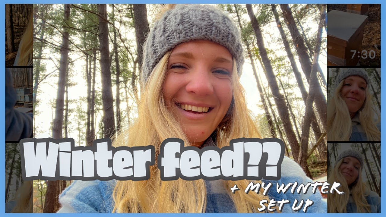 Feeding YOUR BEES In The Winter / Beekeeping 101 #beekeeping