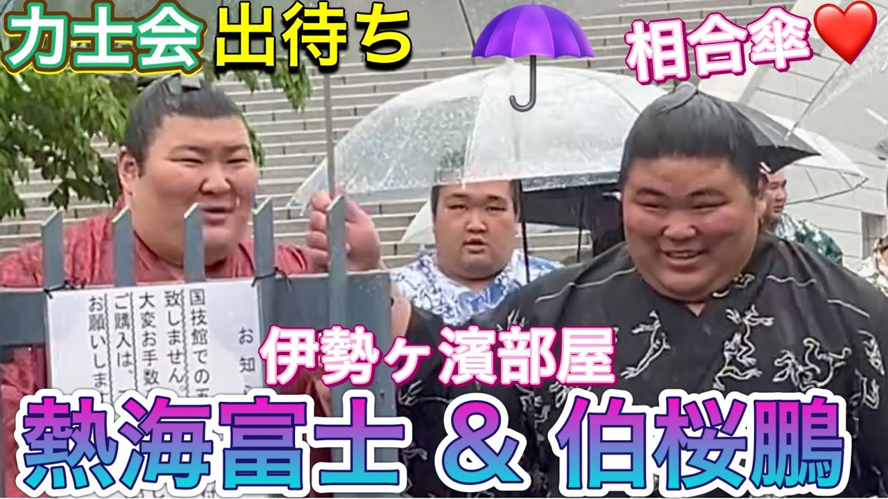 速報❗️【力士会】出待ち - 相合傘の伯桜鵬&熱海富士❤️ 若元春&阿炎 湘南乃海&島津海 若隆景 伯桜鵬 翠富士 明生 ほか 2024/5/1 ［令和6年5月場所］