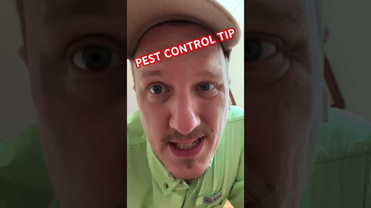 Pest Control Tip #tipsandtricks #pestcontrol #spiders