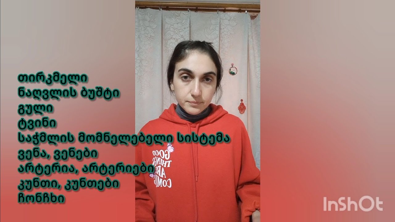 (Gürcü Dili) Suallara Cavab | შინაგანი ორგანოები - Daxili orqanlar