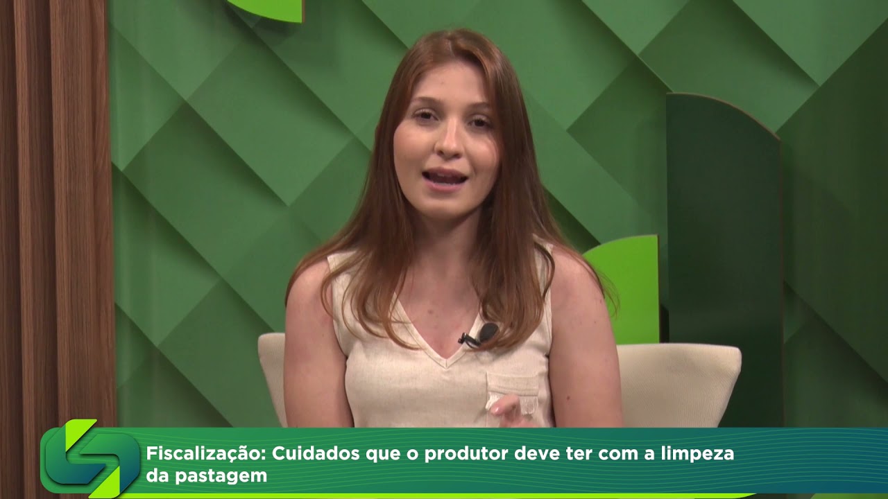 Fiscalização: Cuidados que o produtor deve ter com a limpeza da pastagem