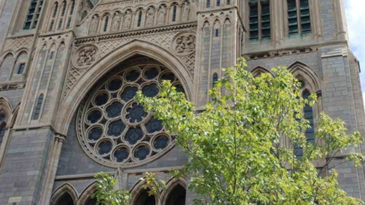 A Celebration of Bach at Truro Cathedral