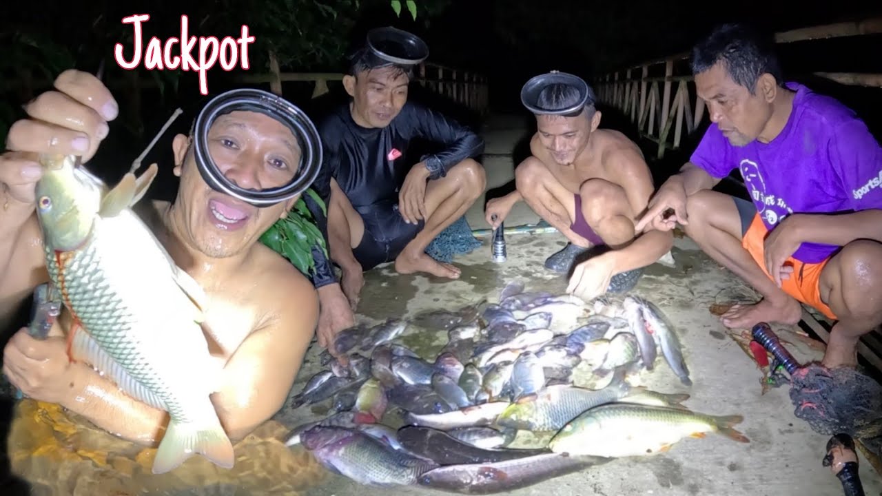 SINISID NG GABI ANG NATUMBANG ACACIA DAMING NAHULI