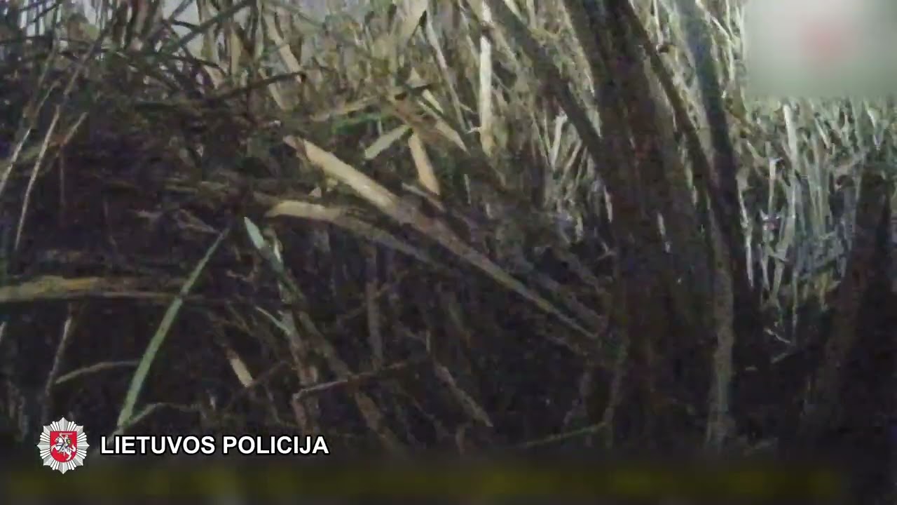 Pareigūnai išgelbėjo vandenyje įkalintą vyrą