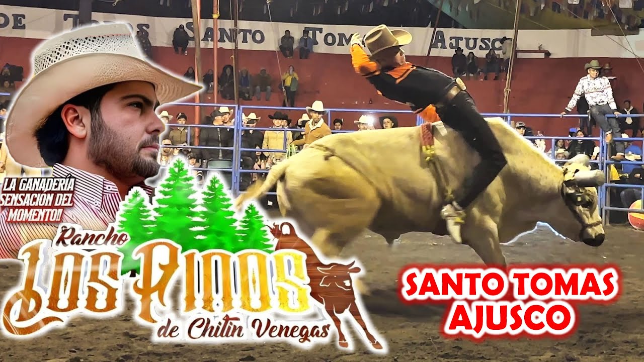 ¡CHITIN VENEGAS Y SUS TOROS LLEGAN A LA CDMX! RANCHO LOS PINOS EN SANTO TOMAS AJUSCO