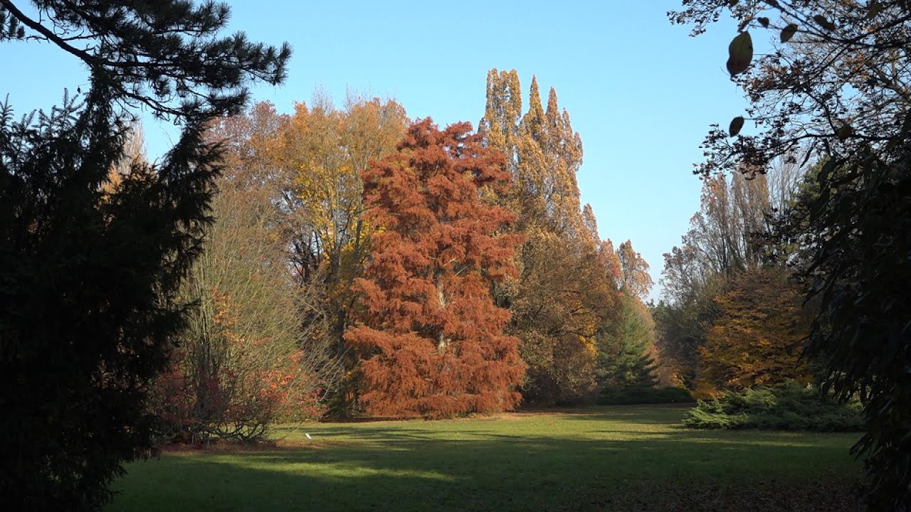 Barangoló – Szarvasi Arborétum
