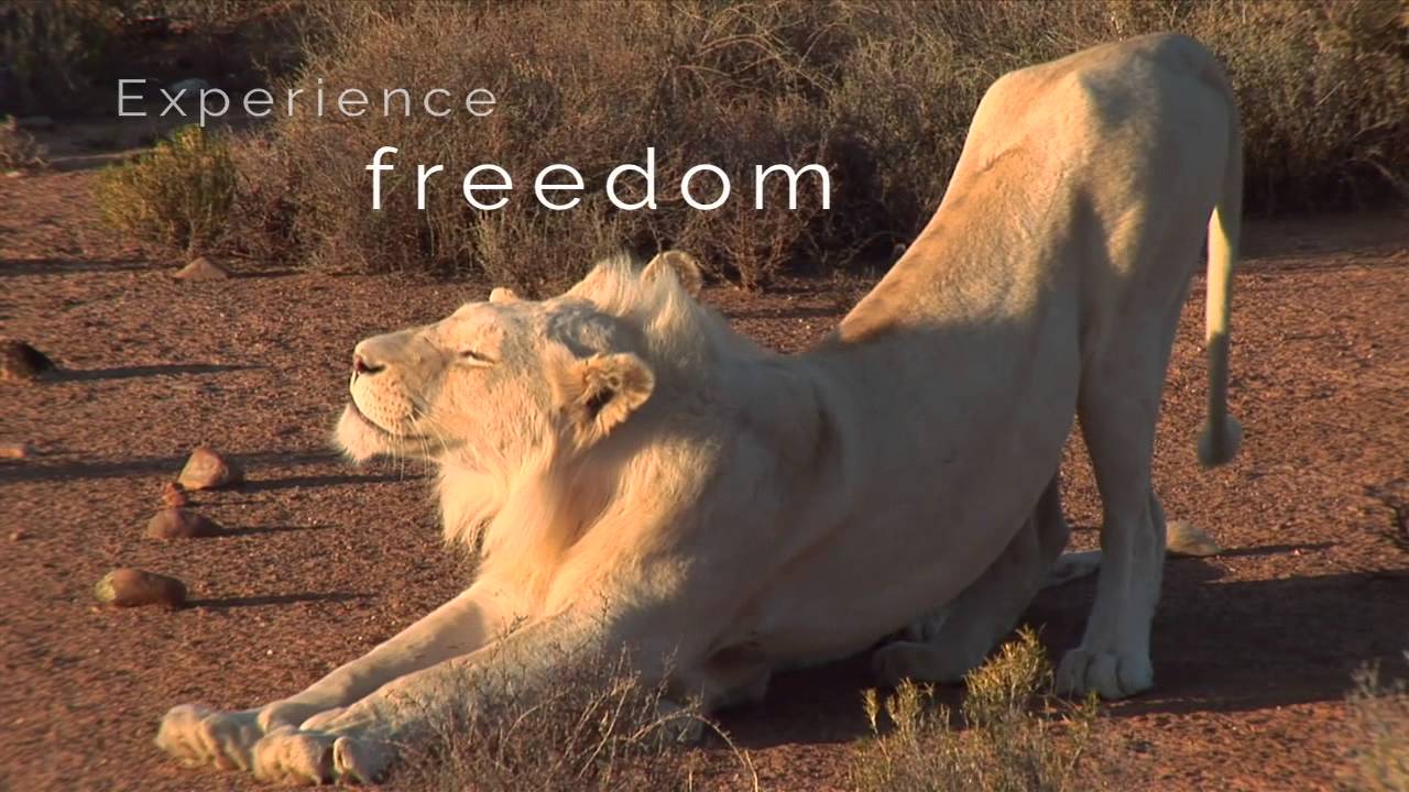 Sanbona Wildlife Reserve, near Cape Town, South Africa