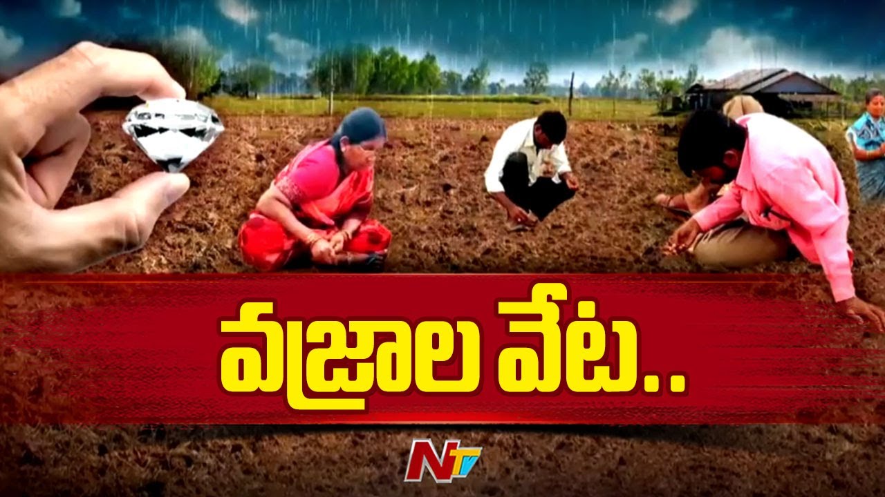 రాయలసీమలో రతనాల వేట మొదలైంది..మేఘం ఉరిమింది..వాన పడింది..వజ్రాల పంట పండింది..| Diamond Hunting | Ntv