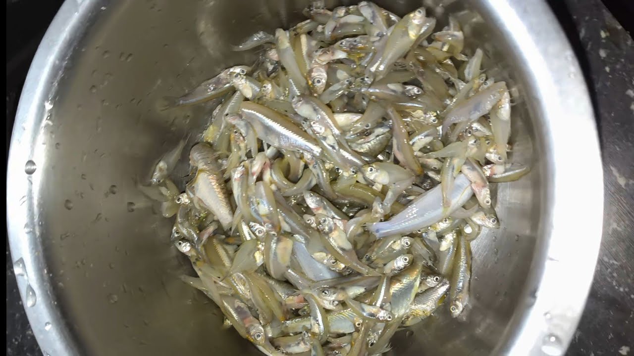 Small Fish Fry Recipe 🐠 | How to make fish at home? Machhali banane ki vidhi| Recipe byPoojakitchen 