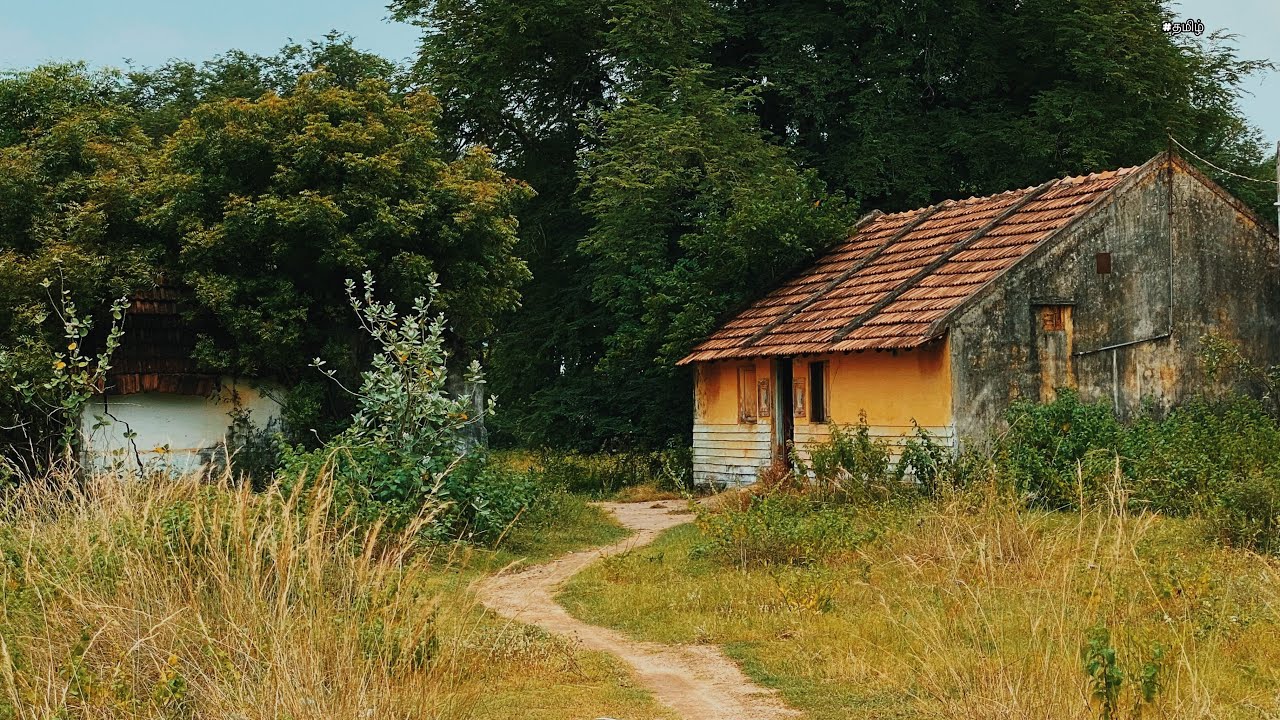 🫣Abandoned Mystery House 10Yr Old|😱குடும்பமே கொடூரமாக இறந்த மர்மமான வீடு|@SpookyGoutham​⁠​⁠
