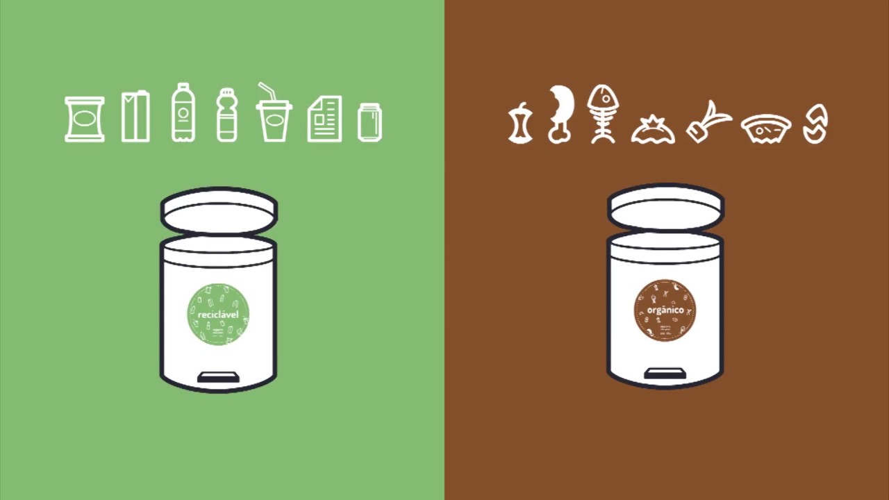 Orgânico x Reciclável: você sabe separar e descartar o lixo do jeito certo?