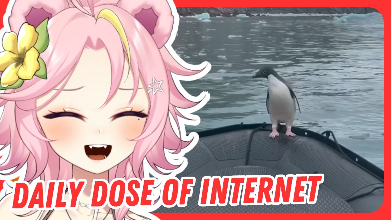 VTUBER WATCHES DAILY DOSE OF INTERNET - Daily Dose Of Internet | Maddiekuma Reacts