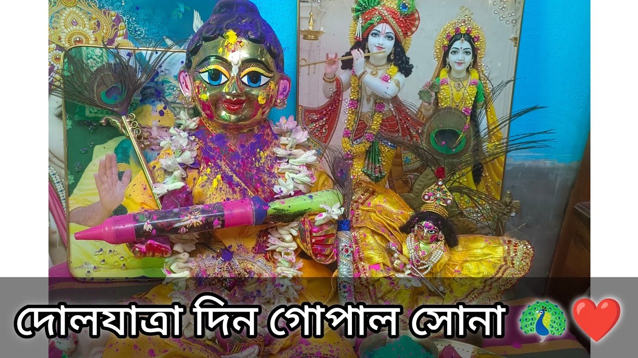 দোলযাত্রা দিন গোপাল সোনাদের খেলা । 🦚❤️