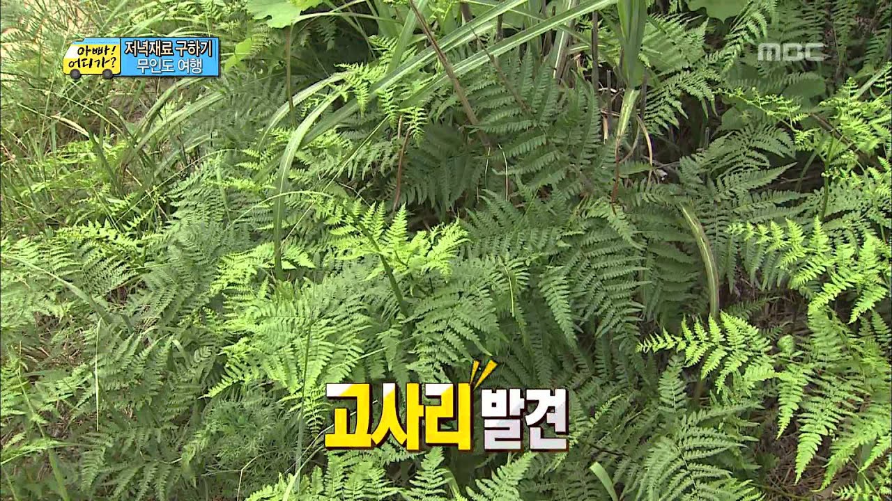 오늘의 저녁재료, 칡, 고사리순 찾는 아빠들, #04,  일밤 20130825
