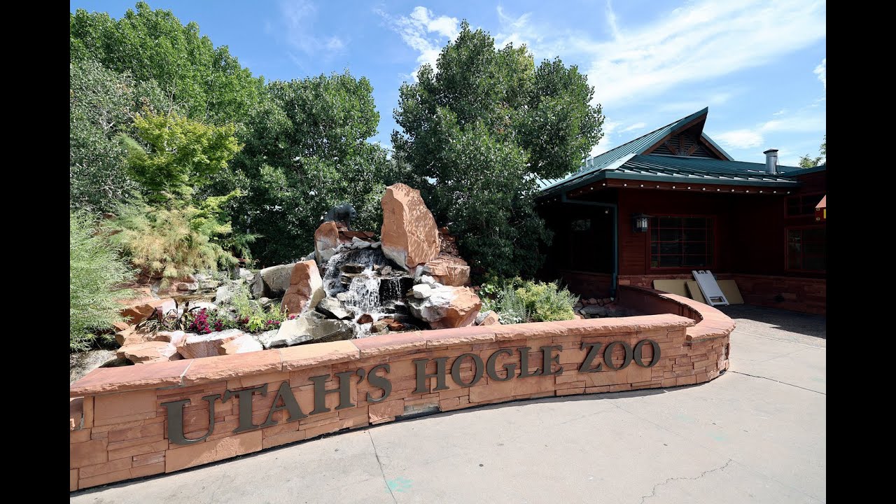 Utah’s Hogle Zoo in Salt Lake City. 🦒 🐘 🦁 🙉 🐻
