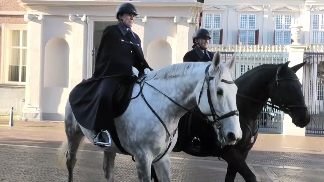 Impressie ceremonie Geloofsbrieven 25 februari 2026