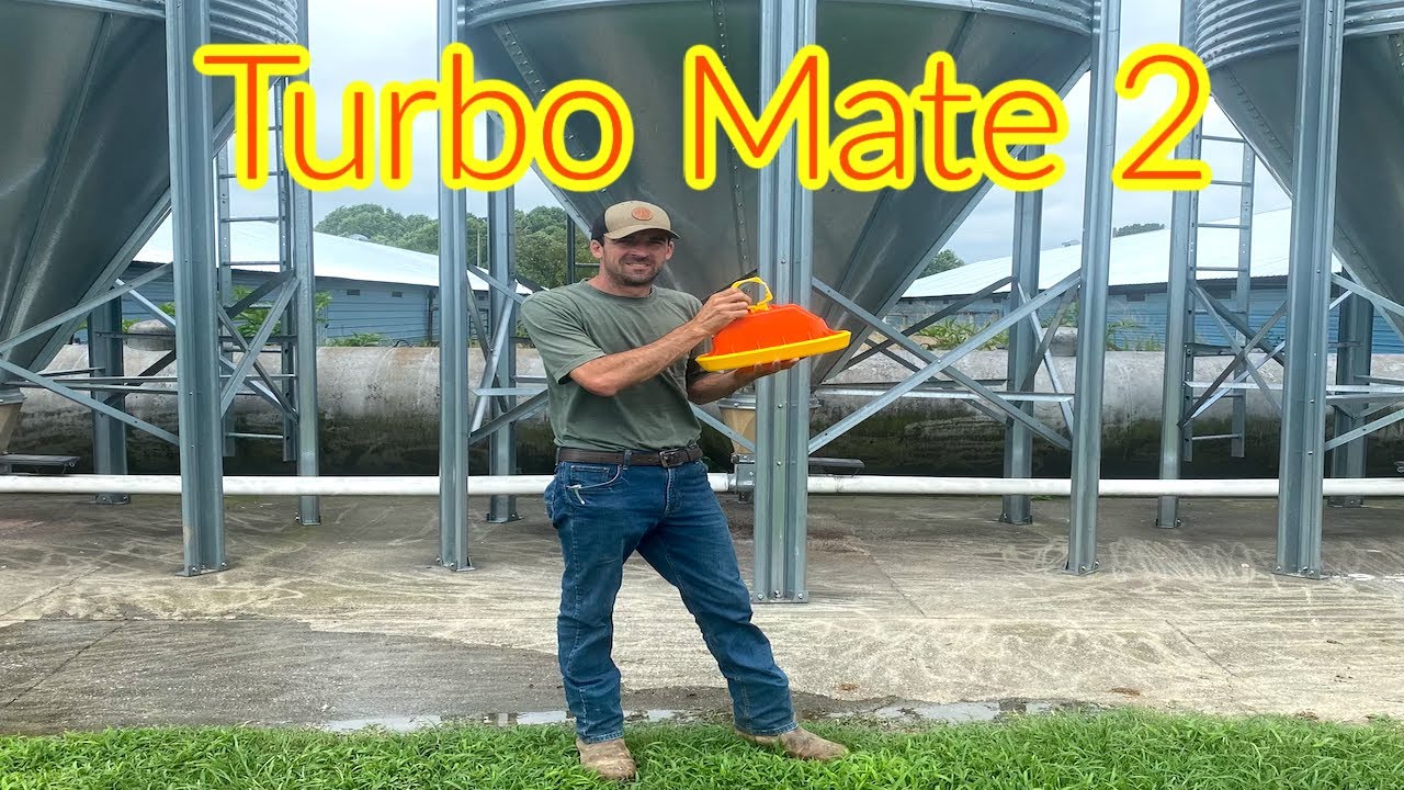 Модернизация курятника! Установка кормушек Turbo Mate 2 | Посмотрим, как они нам понравятся!