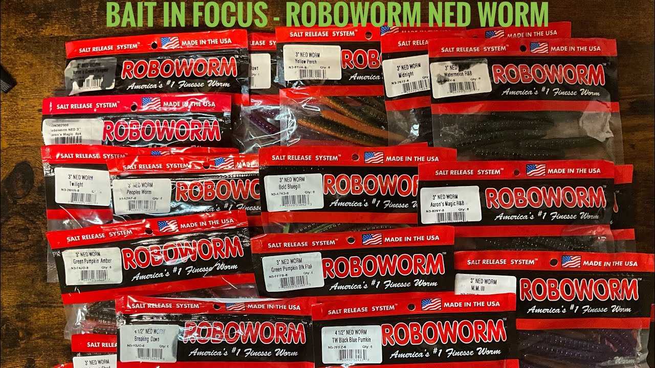 Bait In Focus - Roboworm Ned Worm