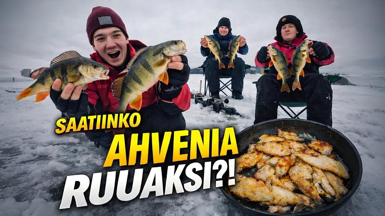 PILKKIMÄSSÄ AHVENTA | SAATIINKO RUOKA KALOJA?!?