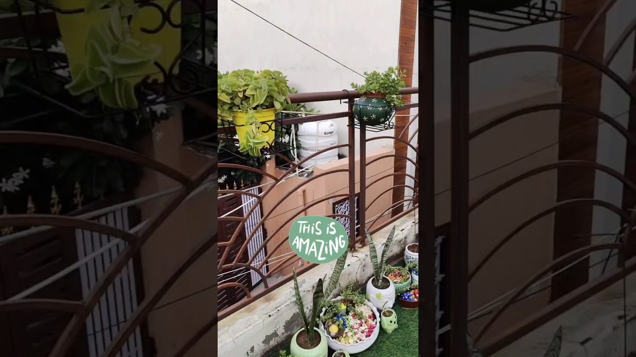Railing planters-Online Shopping #plant #planters #railing #viral @gardendreams2022