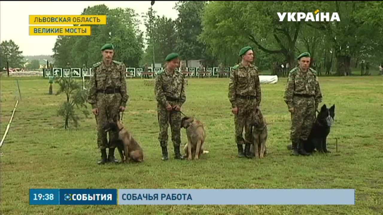 Львовские кинологи тренируют собак для службы в зоне боевых действий