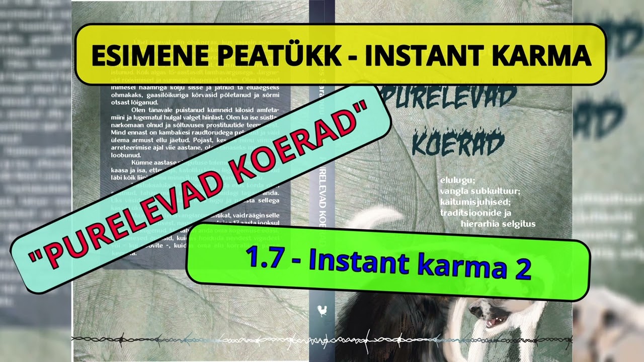 1.7 - Instant karma 2 - Audioraamat