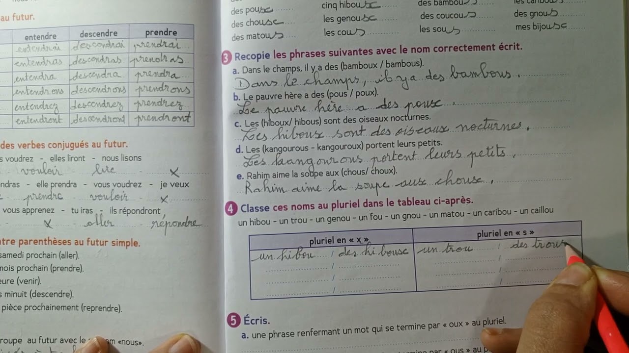 CE2 : Orthographe Le pluriel des noms en **ou** page 83 cahier d' activités Le trésor des mots