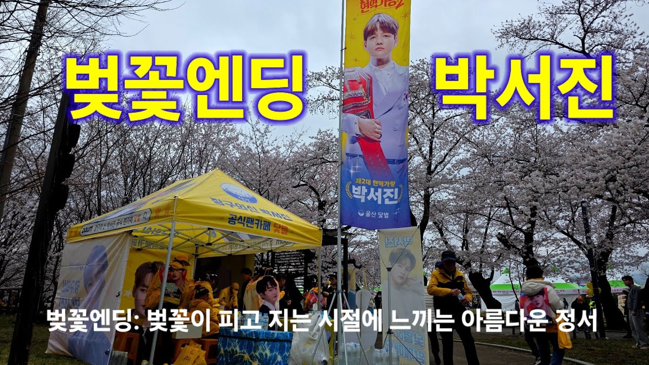 박서진 벚꽃엔딩 울주 작천정 벚꽃축제 현장스케치 현역가왕 트롯킹 Parkseojin kpop ktrot 더트롯