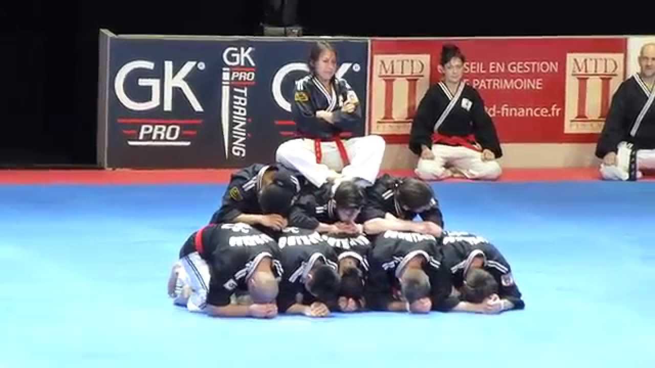 30 eme festival des arts martiaux 7 mars 2015 - Hapkimudo