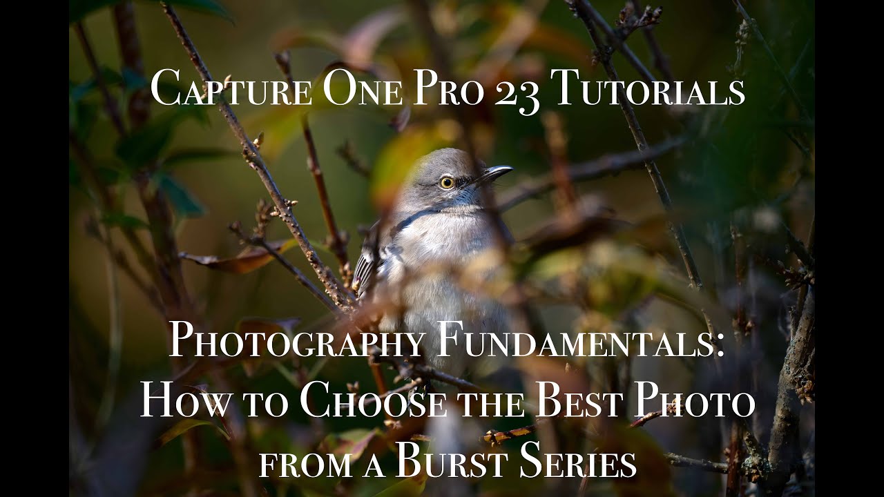 Photography Fundamentals: How to Choose the Best Photo from a Burst Series