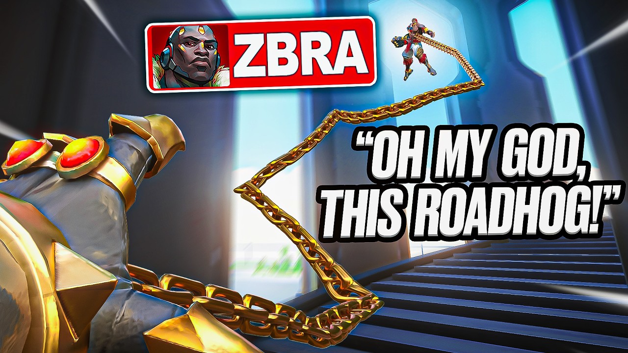 ZBRA сражается с моим БУФФИРОВАННЫМ КАБАНОМ! | Overwatch 2
