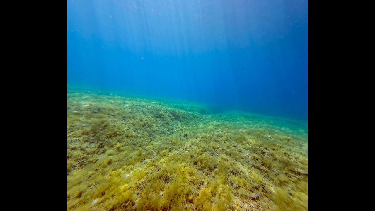Diving in Croatia Wreck Ethnea