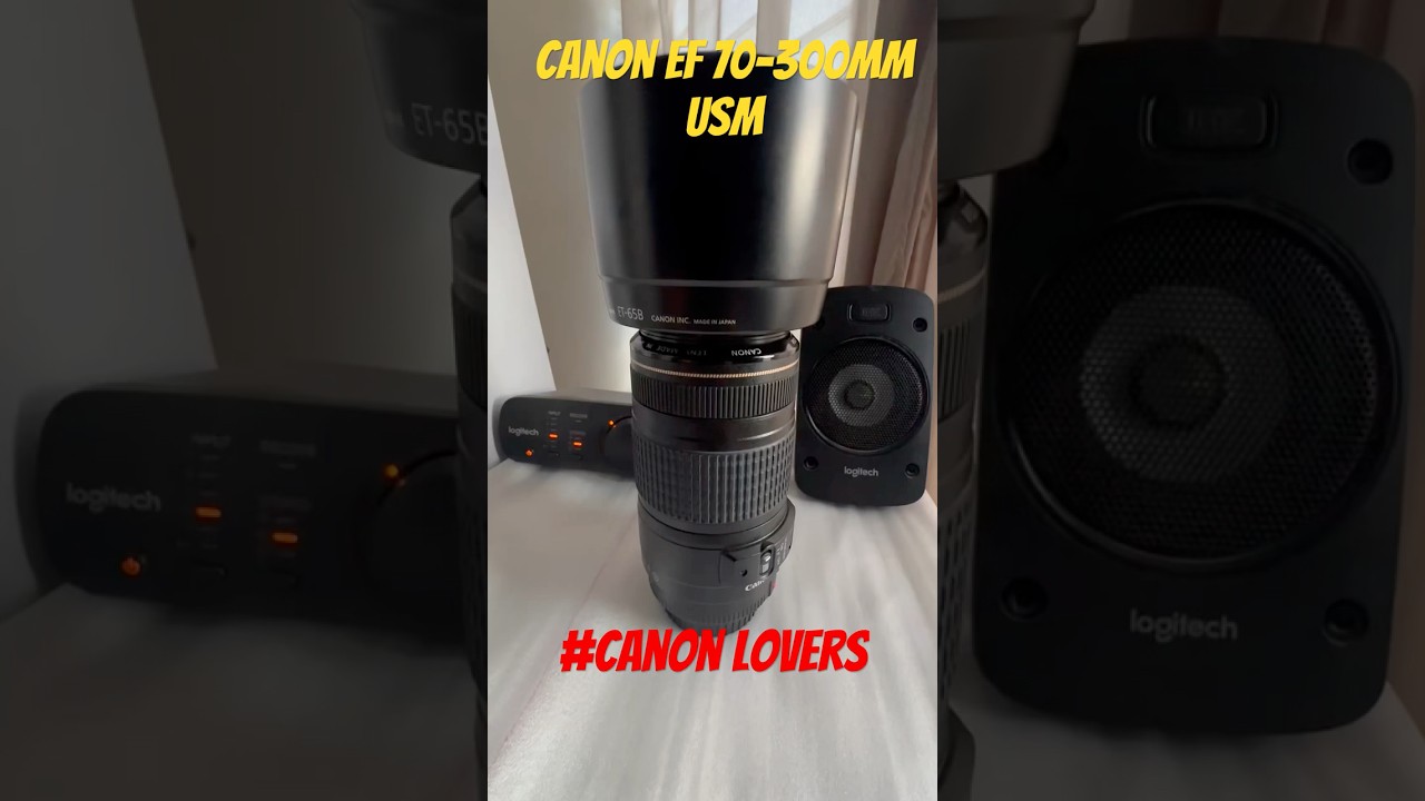 Canon EF 70-300mm USM
