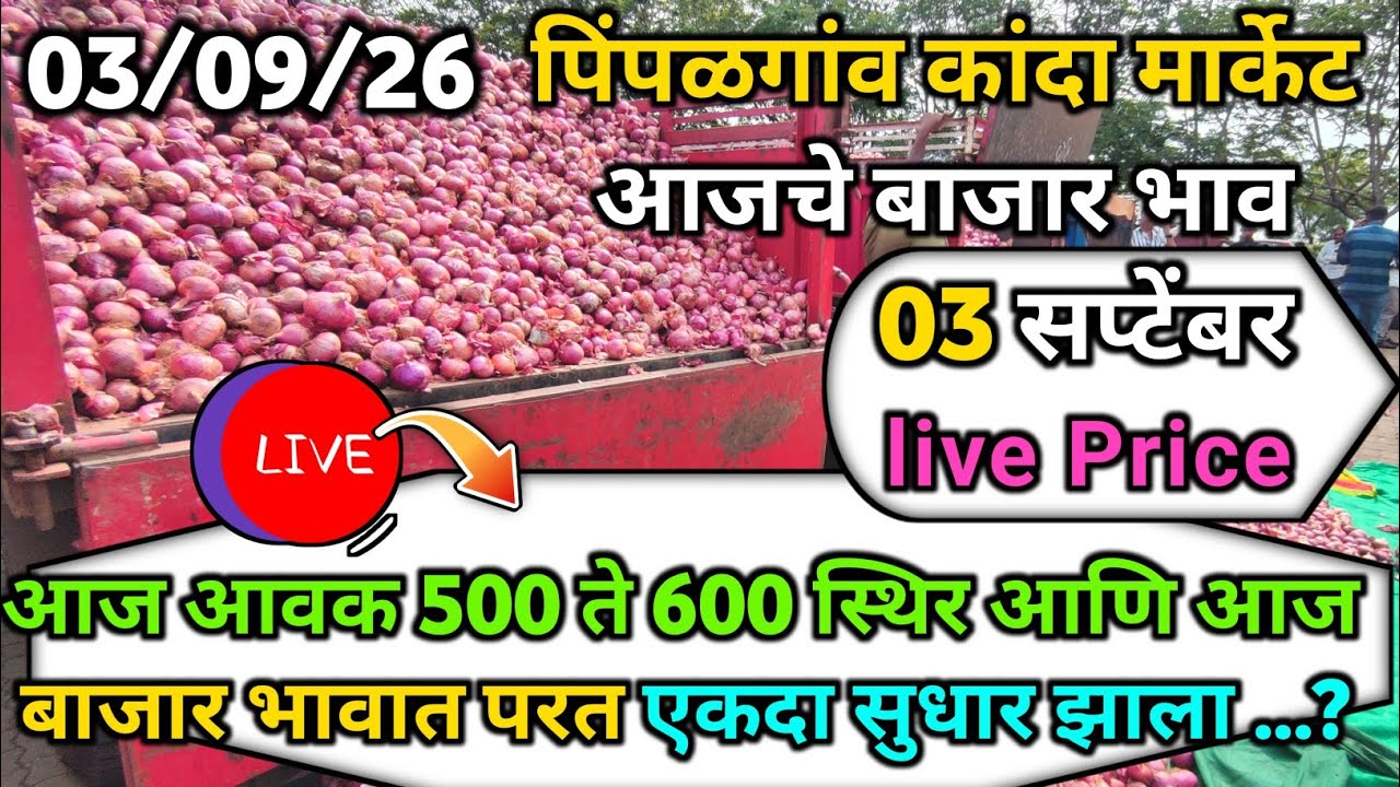Pimpalgaon Onion Market Price Today:Latest Rates And Insights 03 September 2026