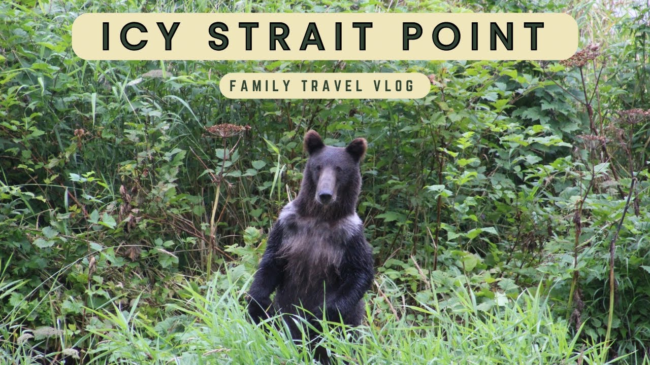 A Guide to the Best Excursions at Icy Strait Point - We Saw Bears and Whales!