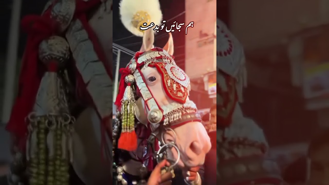 zuljinah 2025 #foryou #karachi #unstoppable #youtube #zuljinah #zuljinahbadshah #moharram
