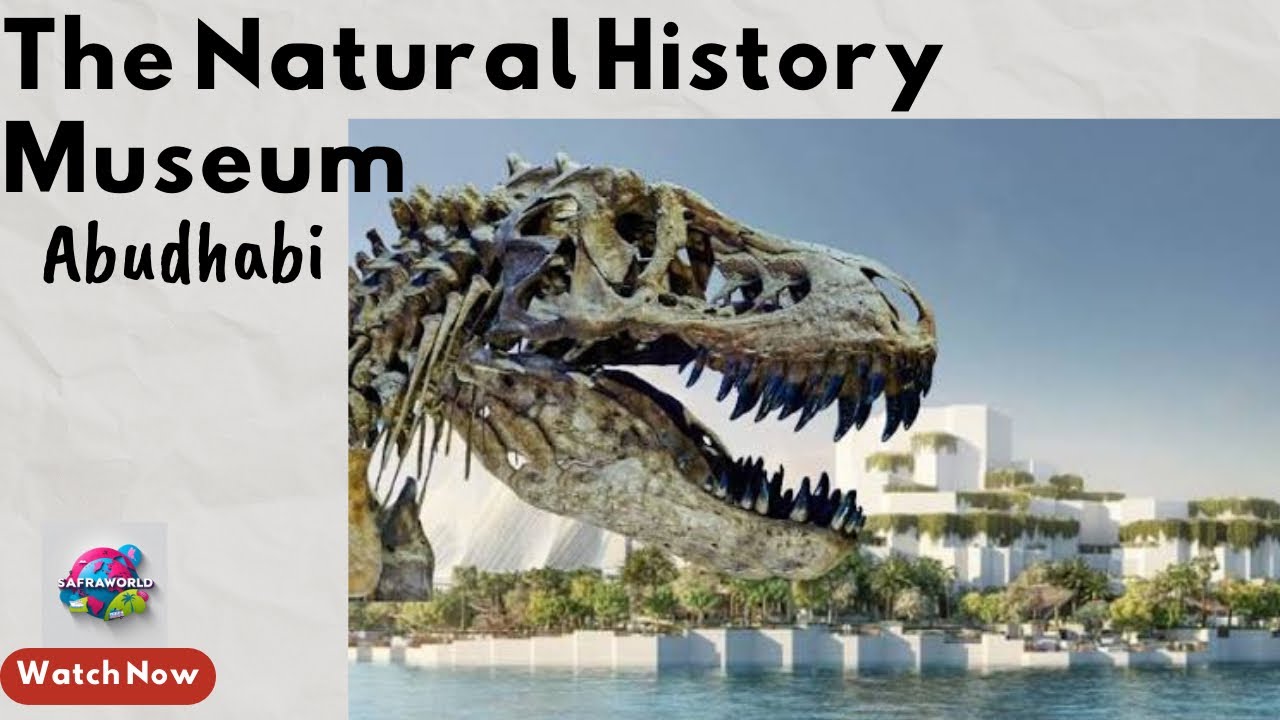 “First Look: Natural History Museum Abu Dhabi | Ultimate Guide & Highlights!”| Safraworld 