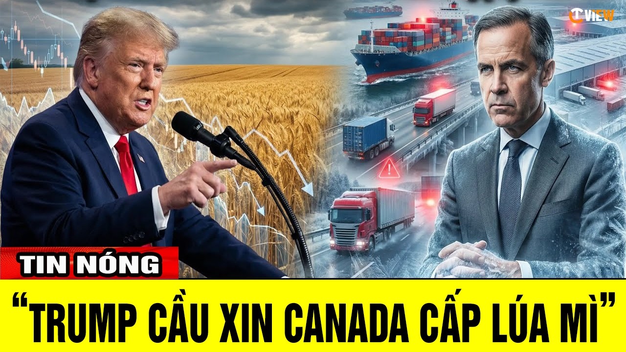 TRUMP CẦU XIN LÚA MÌ CANADA - Giải pháp của Carney LÀM ĐÓNG BĂNG VĨNH VIỄN NGUỒN CUNG CHO MỸ