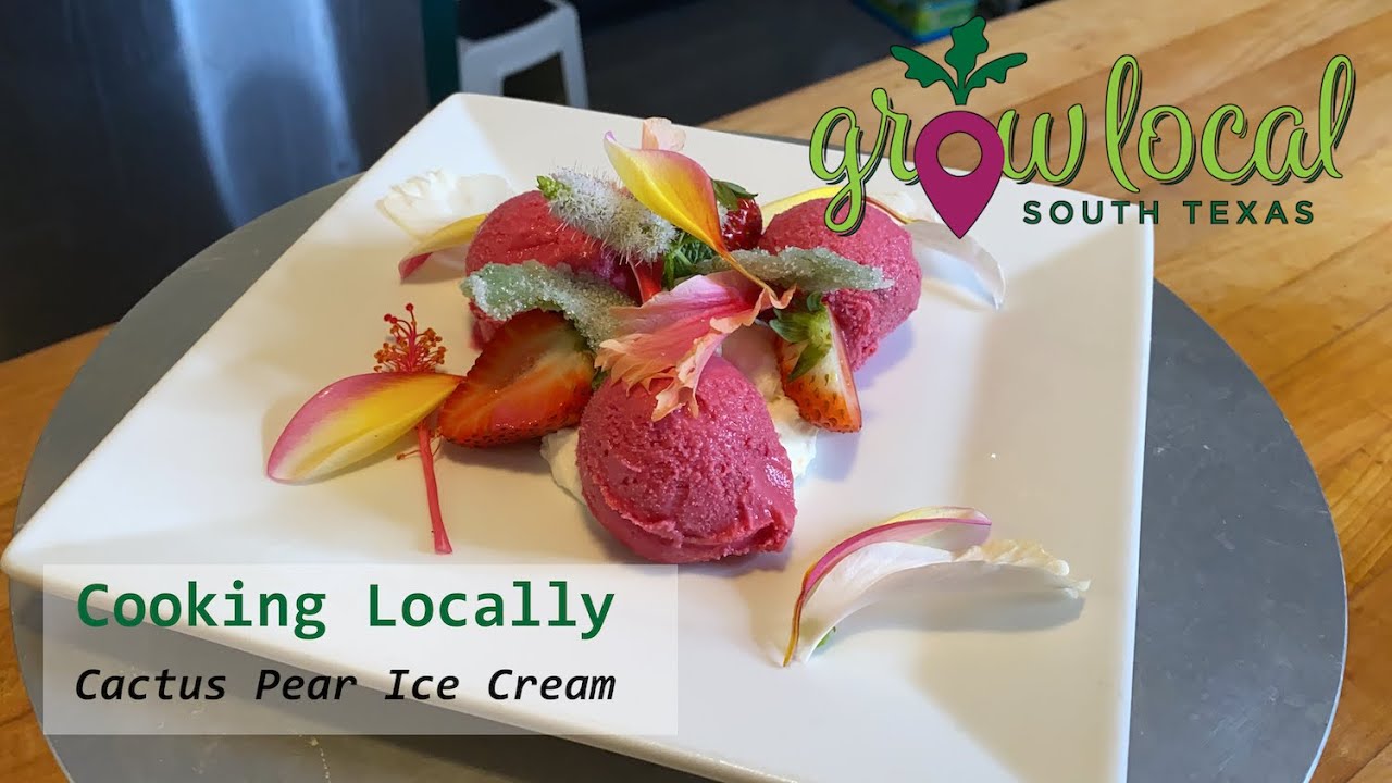 Cooking Locally, Ep. 2: Prickly-Pear Cactus Ice Cream