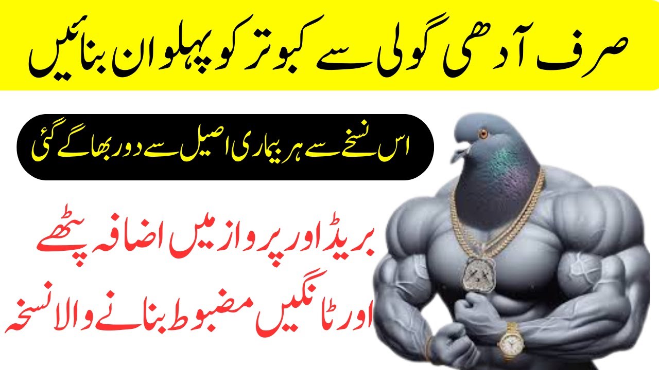 Best Multivitamin Tablet For Pigeon | Best Vitamin For Pigeon