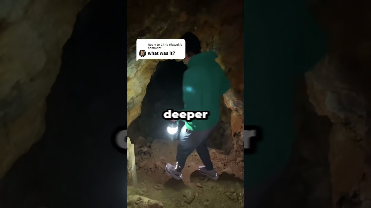 Dog Discovers Hidden Room in Rental